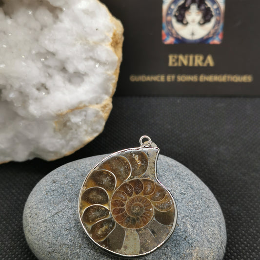 Pendentif Ammonite Naturelle – Énergie Fossile & Harmonie