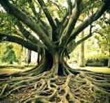 Soin Énergétique à Distance – Ancrage & Harmonie 30min à distance - Consultation en visio