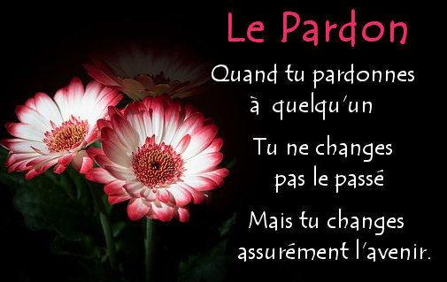 Le Pardon : Une Clé Sacrée pour Guérir l’Âme
