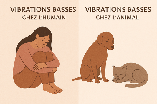 Les vibrations basses humains & animaux