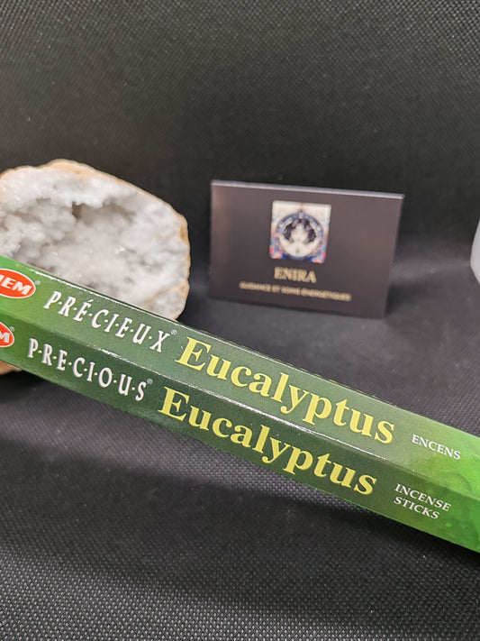 Encens Eucalyptus