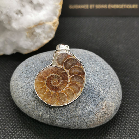 Pendentif Ammonite Naturelle – Énergie Fossile & Harmonie