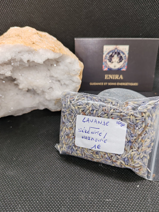 Encens en Grains – Lavande séchée – Sachet de 10g