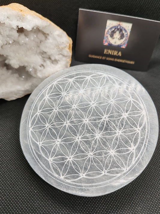Plaque de Sélénite fleur de vie 10cm